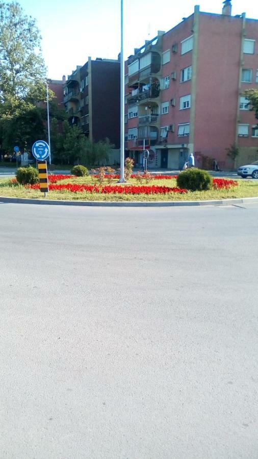 Apartmani Spasic Leskovac  Buitenkant foto