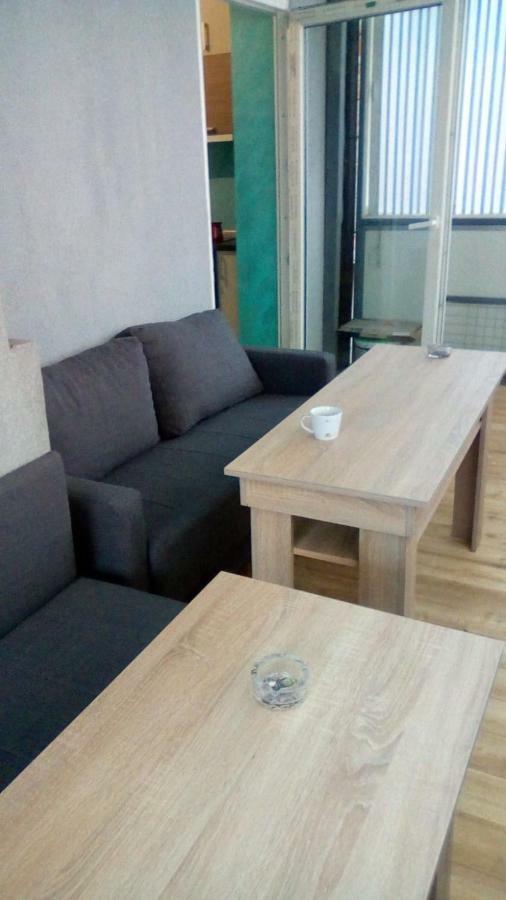 Apartmani Spasic Leskovac  Buitenkant foto